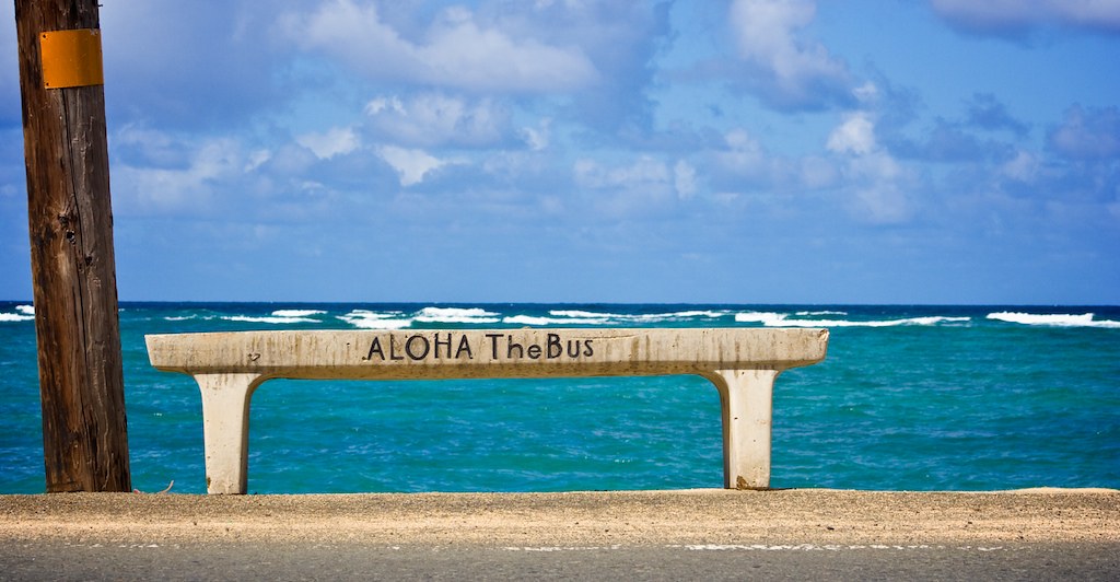 Aloha the Bus
