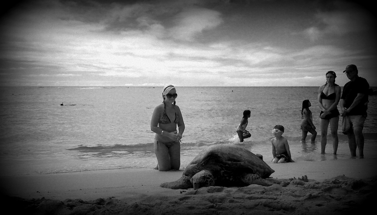 Honu Holga