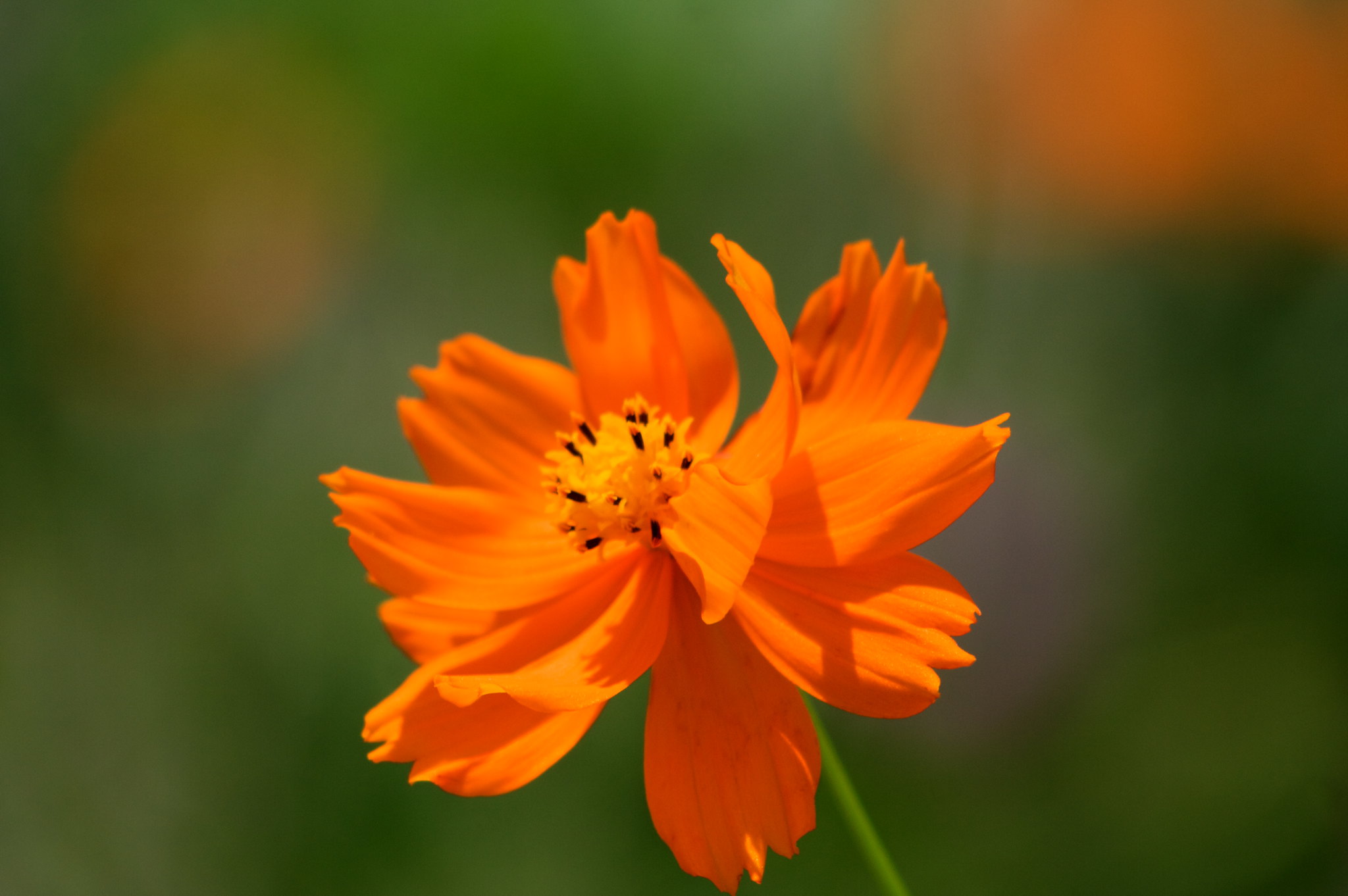 Image 0493