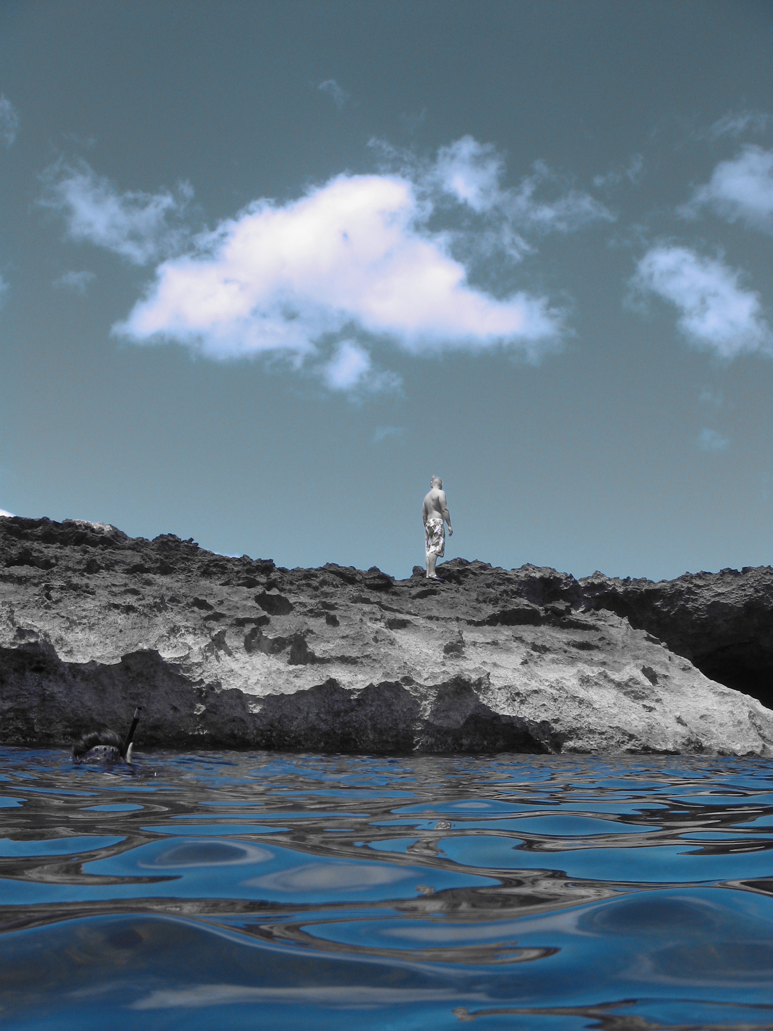 Sharks Cove