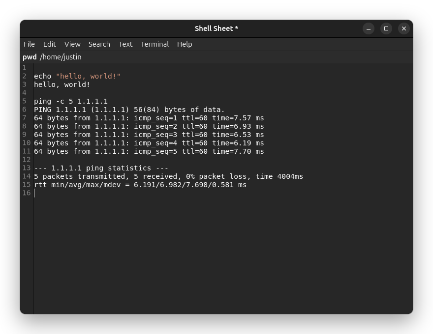 Shell Sheet text editor window showing an echo command and a ping command with their output written directly beneath each one